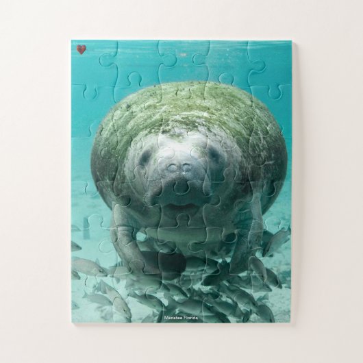 Manatee Florida Puzzle (Vertikal)