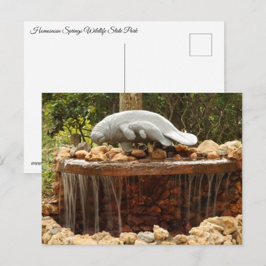 Manatee Fountain Postkarte (Vorne/Hinten)
