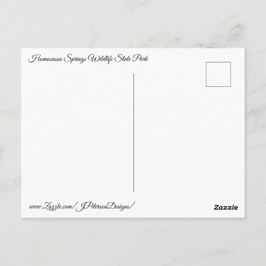 Manatee Fountain Postkarte (Rückseite)