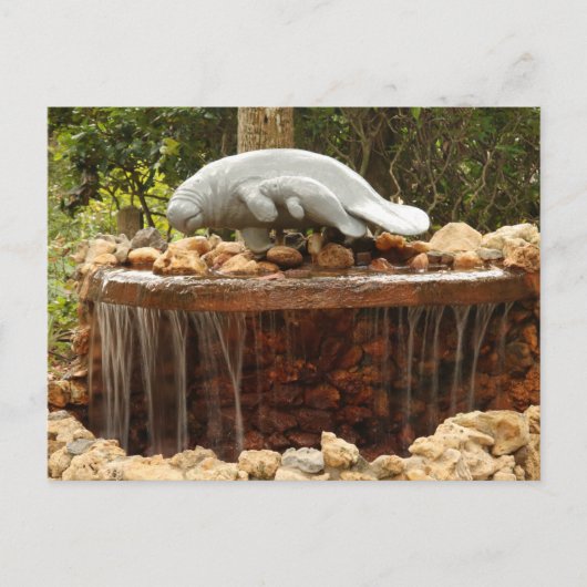 Manatee Fountain Postkarte (Vorderseite)