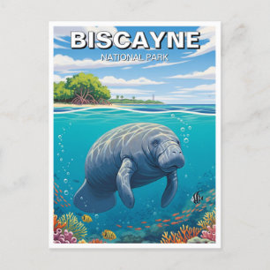 Manatee im Biscayne-Nationalpark Postkarte