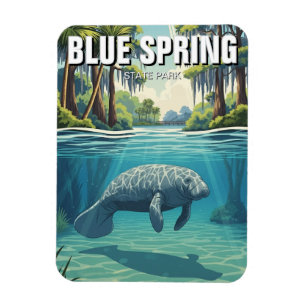 Manatee im Blue Spring State Park Magnet