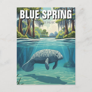 Manatee im Blue Spring State Park Postkarte
