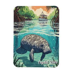 Manatee im Crystal River Florida Magnet