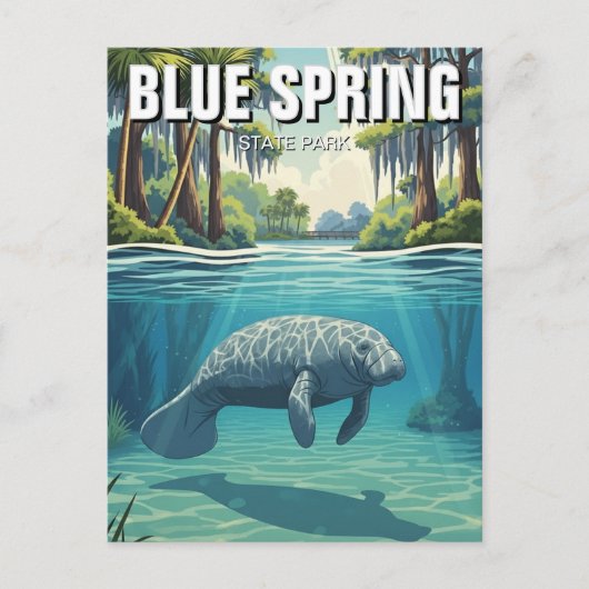 Manatee in Blue Spring State Park Postkarte (Vorderseite)