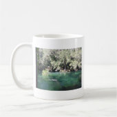 Manatee in Blue Springs Florida Kaffeetasse (Links)