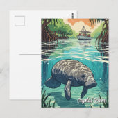 Manatee in Crystal River Florida Postkarte (Vorne/Hinten)