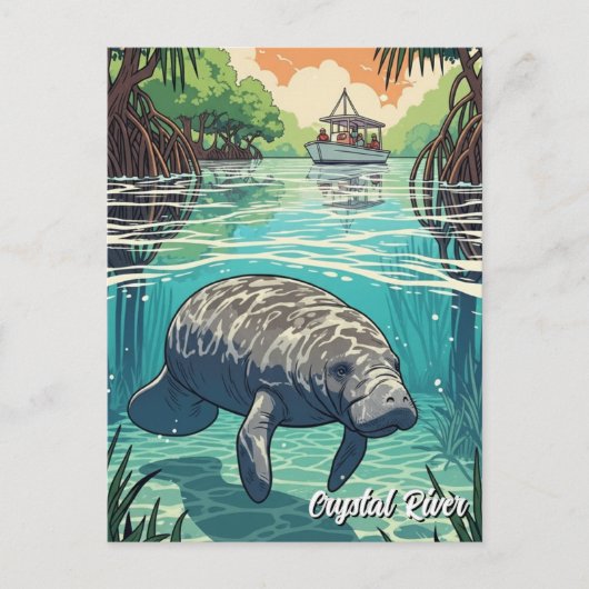 Manatee in Crystal River Florida Postkarte (Vorderseite)