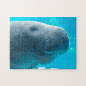 Manatee in Florida Puzzle (Horizontal)