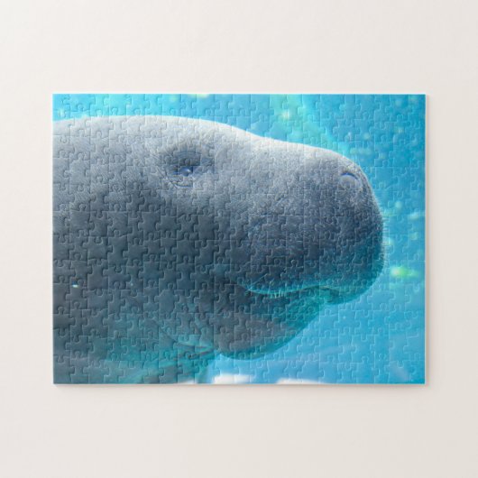 Manatee in Florida Puzzle (Horizontal)