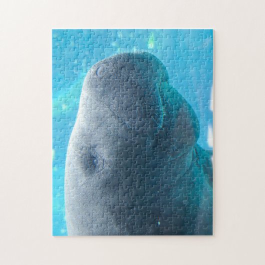 Manatee in Florida Puzzle (Vertikal)