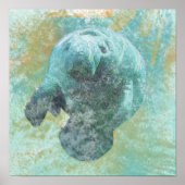 Manatee in Wasserküstenkunst Poster (Vorne)