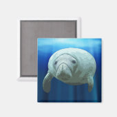 Manatee Magnet (Vorderseite/Rückseite)