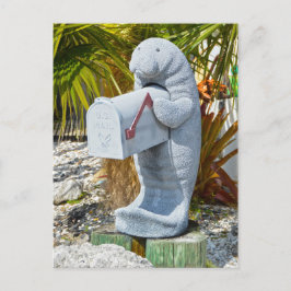 Manatee Mailbox Postkarte