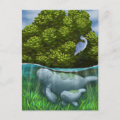 Manatee Mama und Calf Postkarte (Vorderseite)