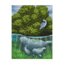 Manatee Mama und Calf