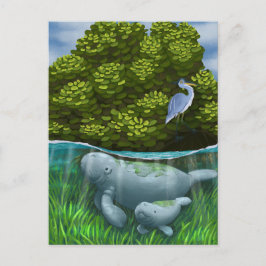 Manatee Mama und Calf Postkarte