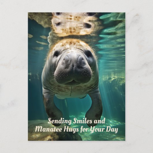 Manatee Marvel: Anpassbarer Manatee Feiertagspostkarte (Vorderseite)