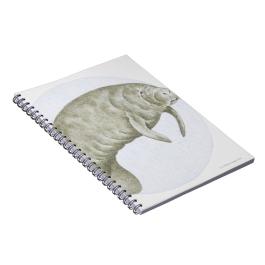 Manatee Notizblock (Rechte Seite)