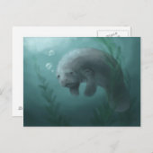 Manatee Postcard Postkarte (Vorne/Hinten)