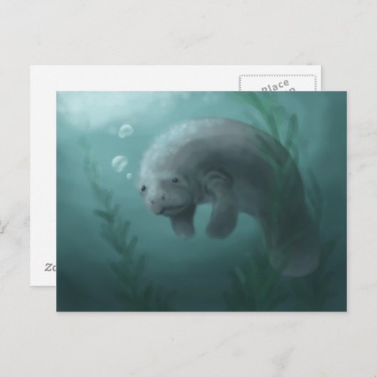 Manatee Postcard Postkarte (Vorne/Hinten)