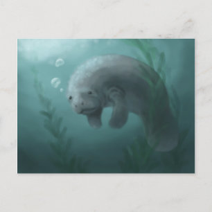 Manatee Postcard Postkarte