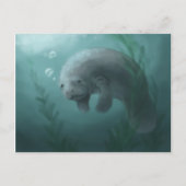 Manatee Postcard Postkarte (Vorderseite)