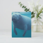 Manatee Postcard Postkarte (Stehend Vorderseite)