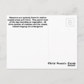 Manatee Postcard Postkarte (Rückseite)