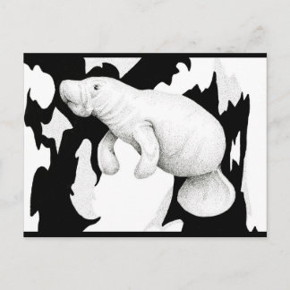 Manatee Postcard Postkarte