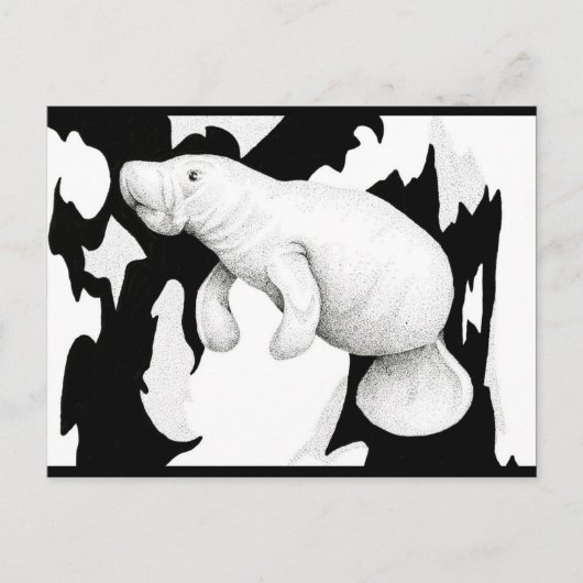 Manatee Postcard Postkarte (Vorderseite)