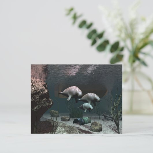 Manatee Postcard Postkarte (Stehend Vorderseite)