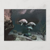 Manatee Postcard Postkarte (Vorderseite)