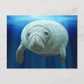 Manatee Postcards Postkarte (Vorderseite)