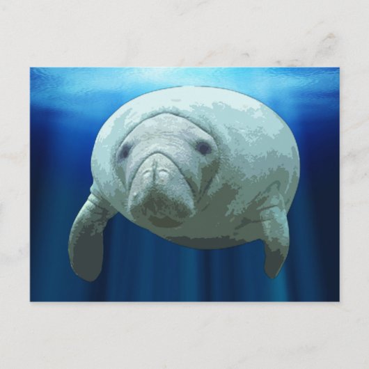 Manatee Postcards Postkarte (Vorderseite)