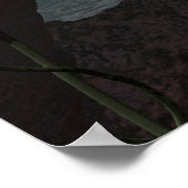 Manatee Poster (Ecke)