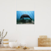 Manatee Poster (Küche)