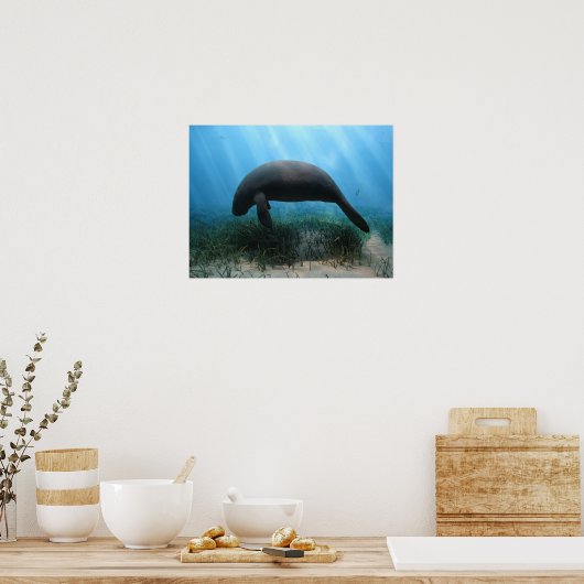 Manatee Poster (Küche)