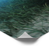 Manatee Poster (Ecke)