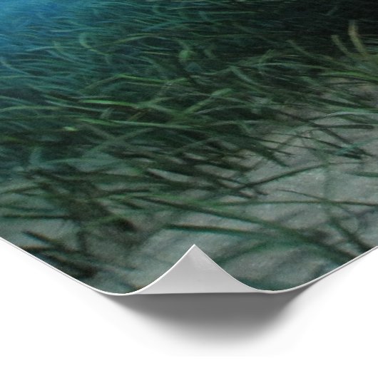 Manatee Poster (Ecke)