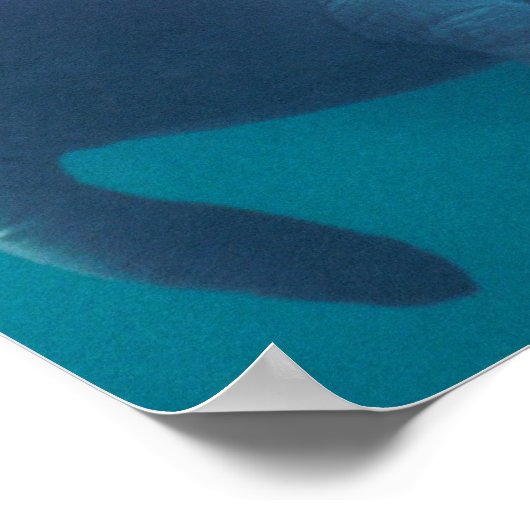 Manatee Poster Print (Ecke)