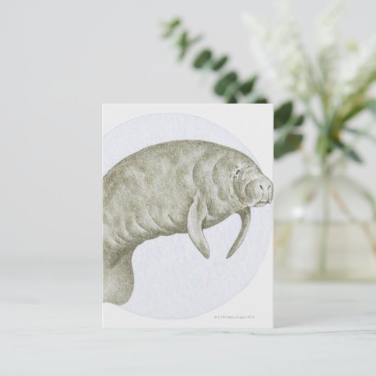 Manatee Postkarte (Stehend Vorderseite)
