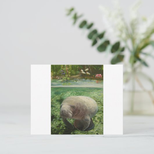 MANATEE POSTKARTE (Stehend Vorderseite)