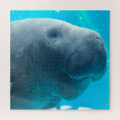 Manatee Puzzle (Horizontal)