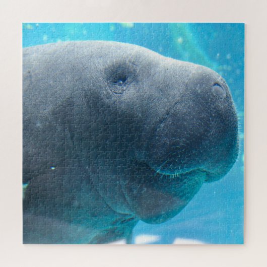 Manatee Puzzle (Horizontal)