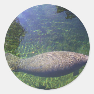 Manatee Runder Aufkleber