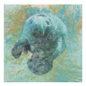 Manatee Sea Cow Art Print Poster (Vorderseite)