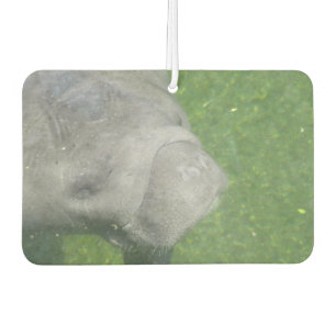 Manatee Smiles Autolufterfrischer