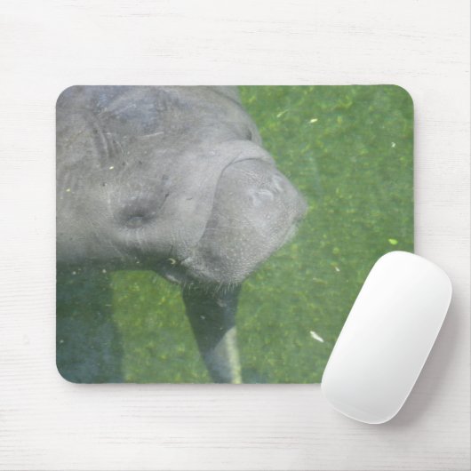 Manatee Smiles mousepad (Mit Mouse)