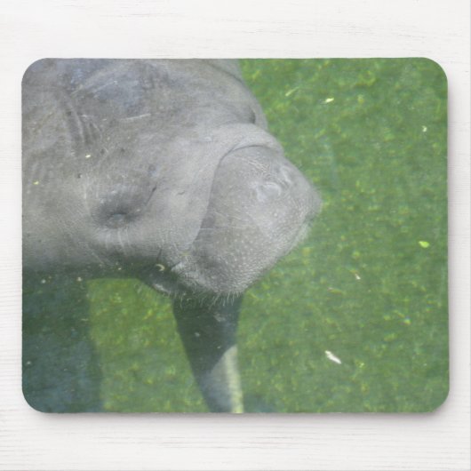 Manatee Smiles mousepad (Vorne)